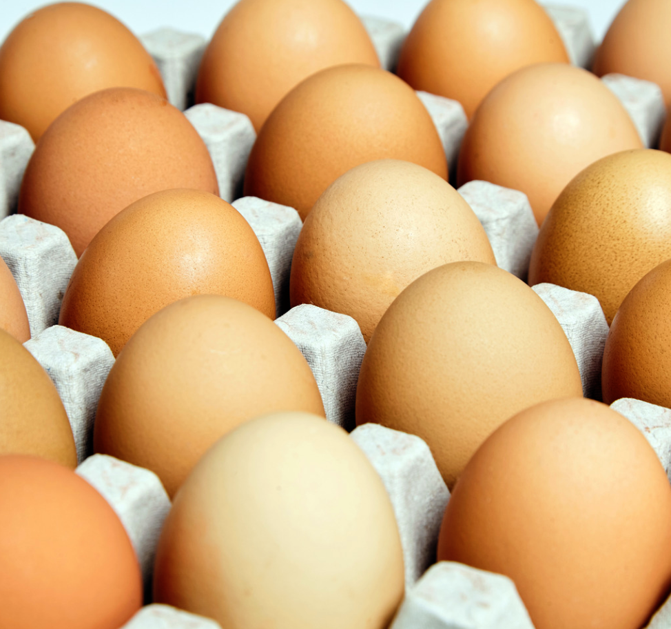 Free-Range Egg Tray (x6 eggs)